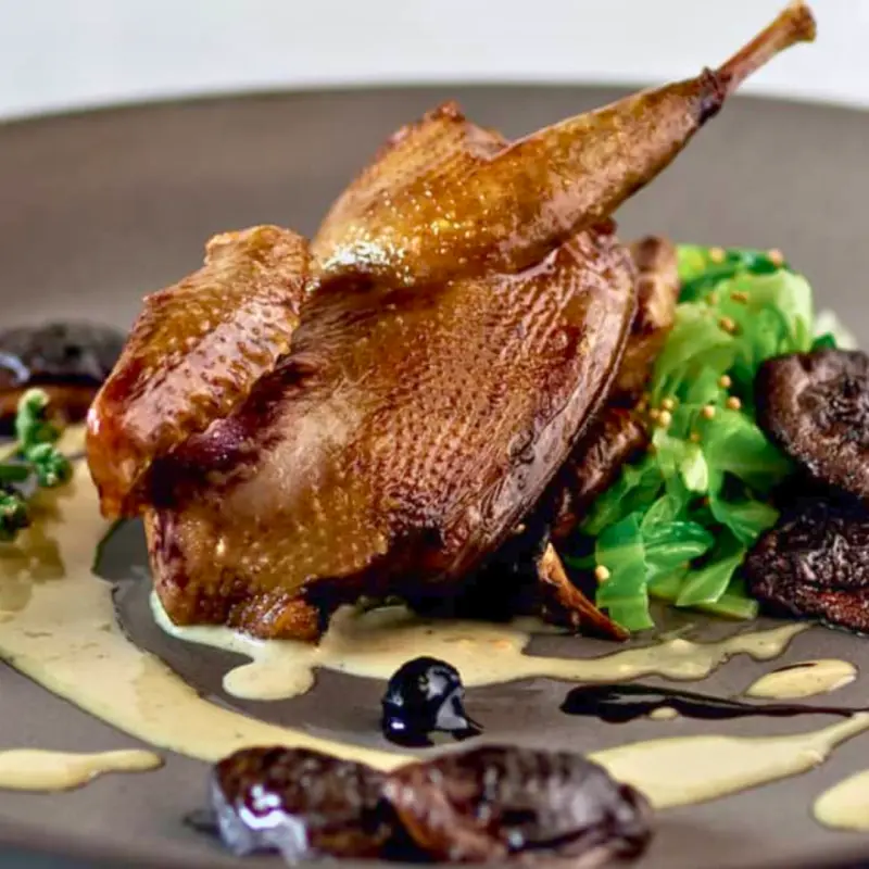 Cuisiner le pigeon
