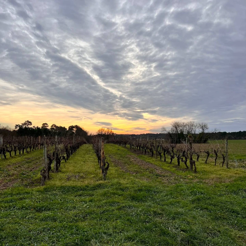 Coucher de soleil pendant une promenade autour de l'Auberge de Cercoux
