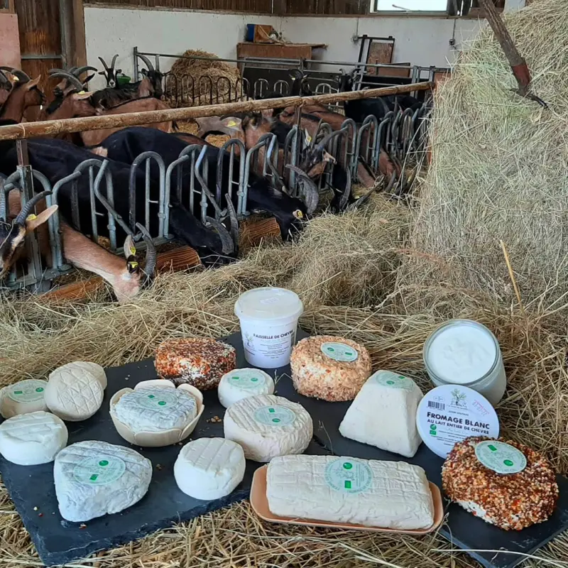 Découvrez la Ferme des Jarouilles