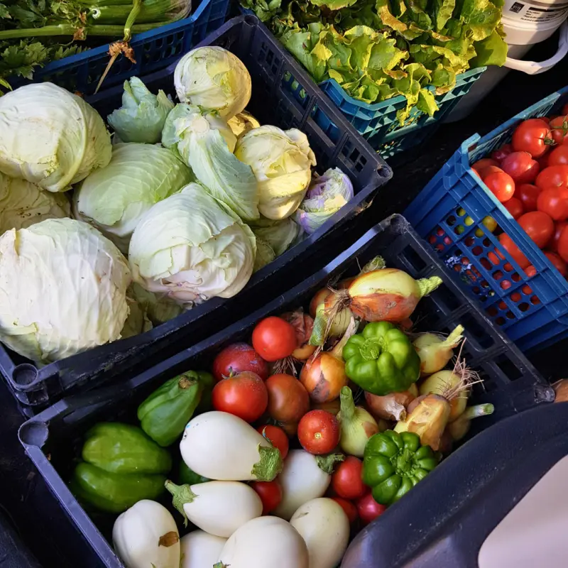 Panier de multiples légumes de saison